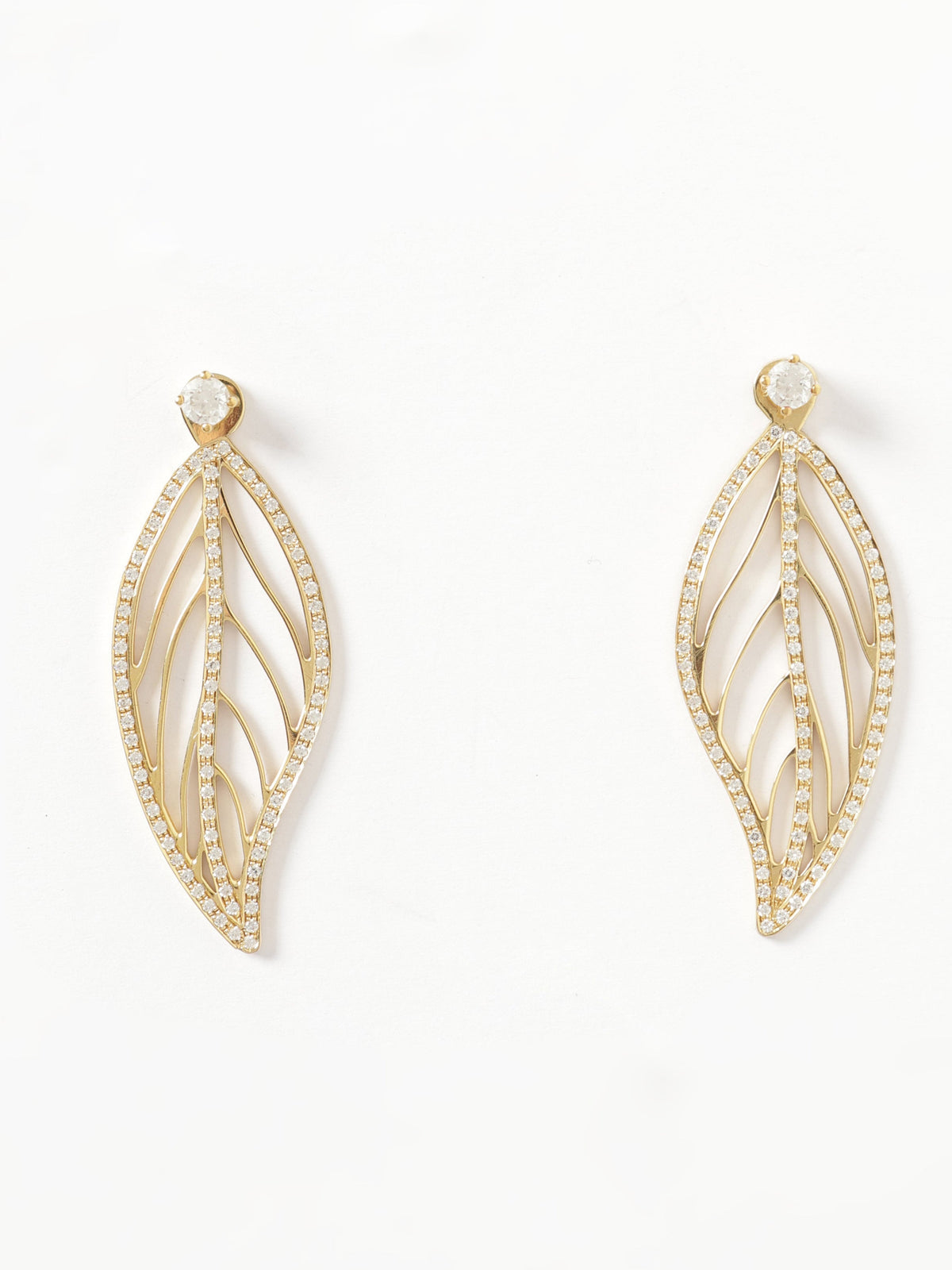 The Leaf with Zircons